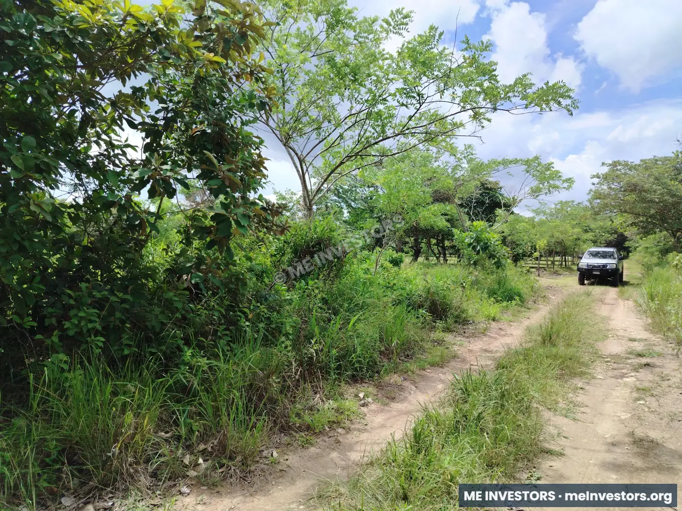 Terreno | Llano Grande, Antón | 22 hectáreas | $20,000 por hectárea, imagen 4