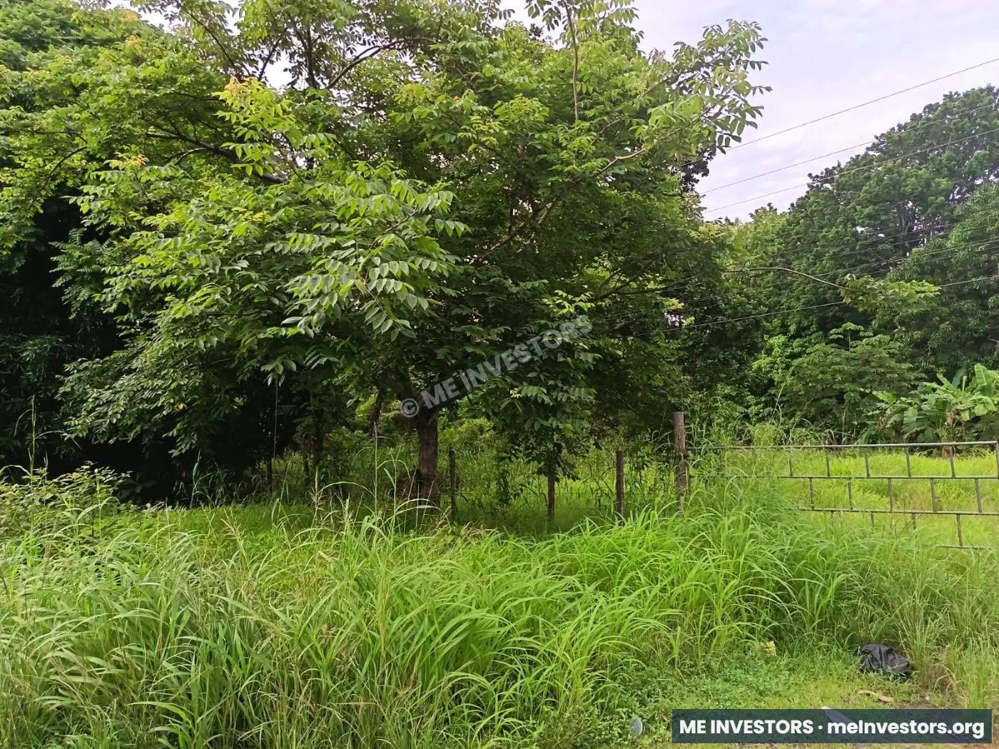 Terreno | Vía Ocú, Herrera | 2 hectáreas (20,000 m²) | $400,000, imagen 6