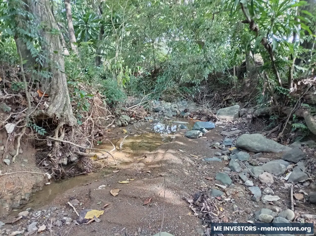 Finca | Chepo | 197,315.46 m², imagen 12