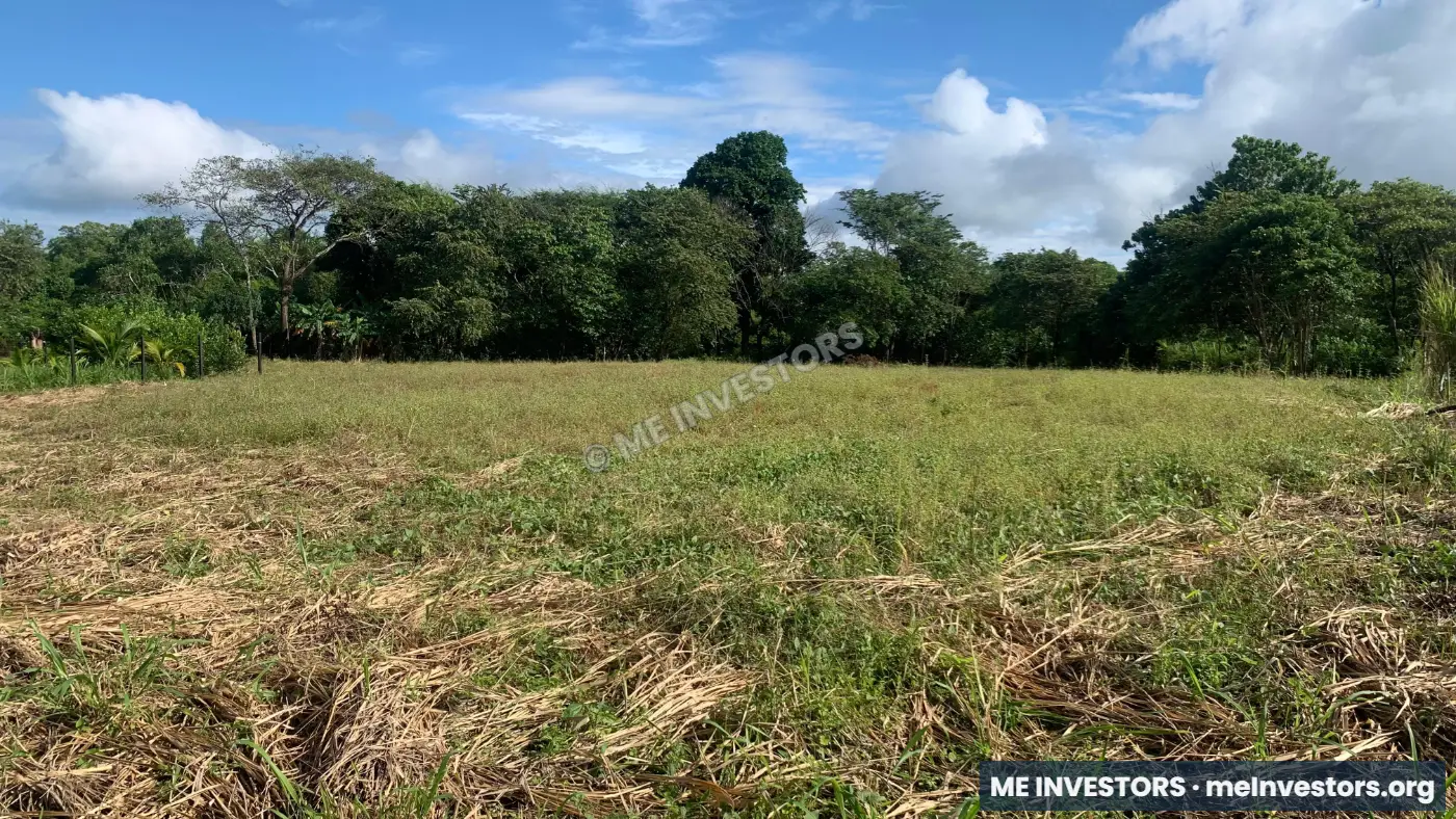 Lotes de 500 m² | Playa Cascajilloso, Veraguas | $17,500.00, imagen 5