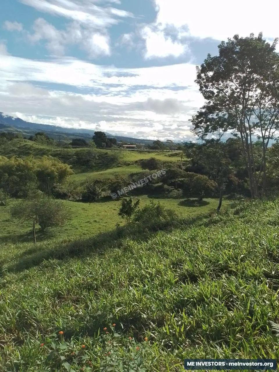 Cuesta de Piedra, vía Volcán, Chiriquí | 10.7 hectáreas aprox. | B/. 450,000, imagen 7