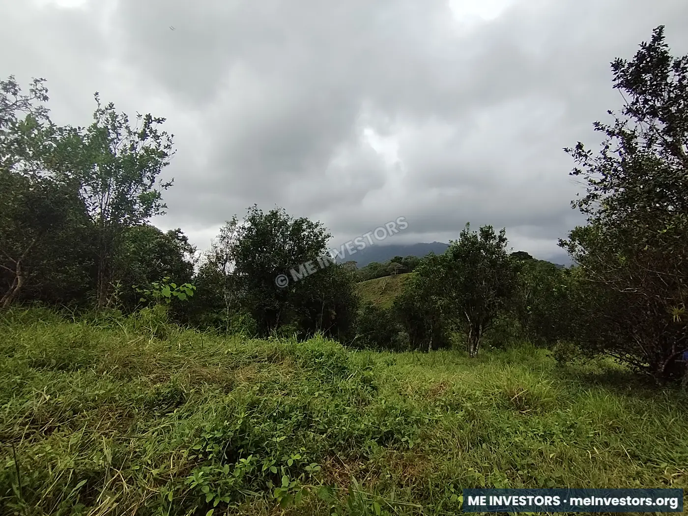 Lote | Trinidad Arriba, Capira | 25,548.32 m², imagen 7