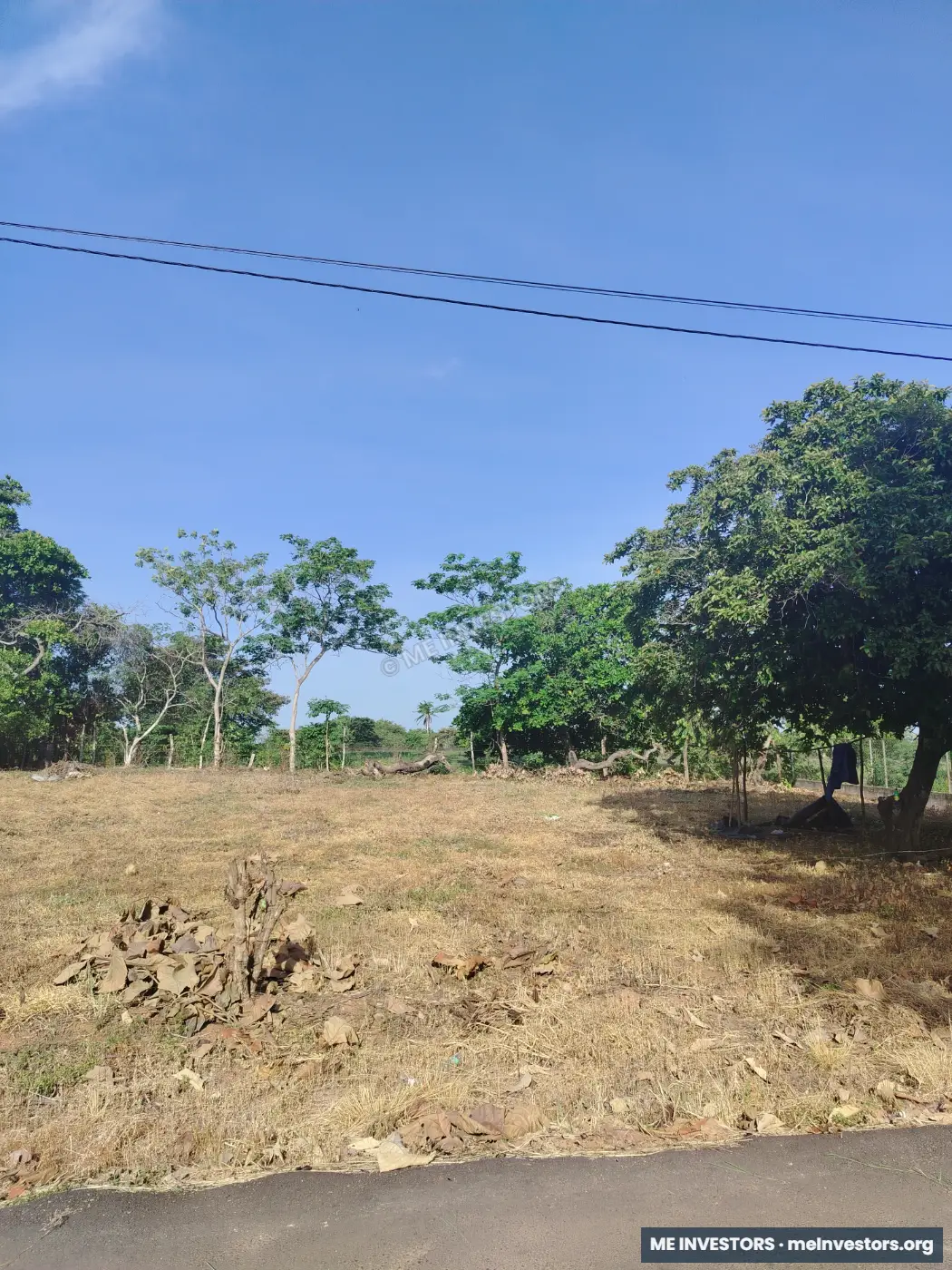 Lote, Barrios Unidos, Aguadulce, Provincia de Coclé, imagen 5