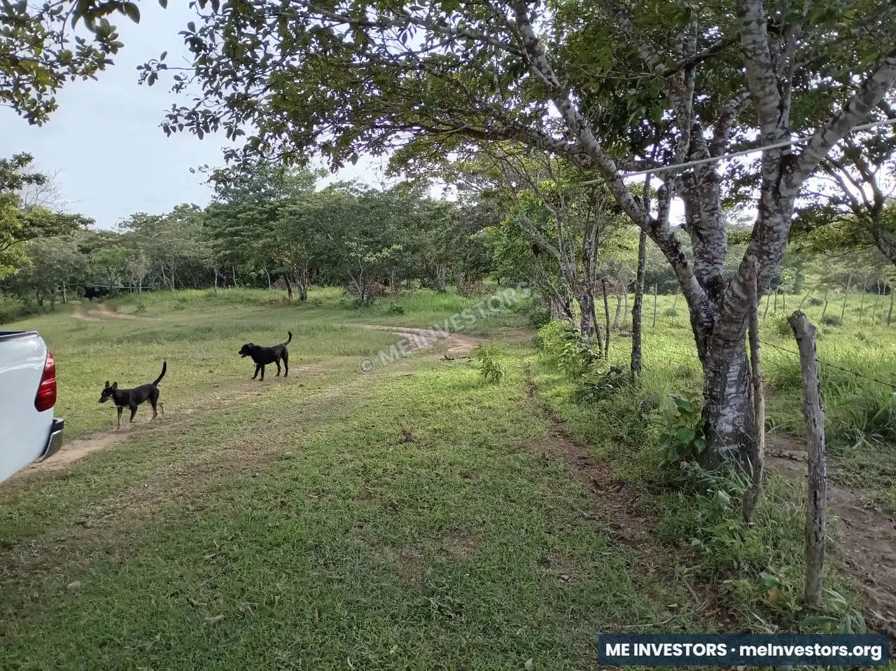 Finca | Chepo | 197,315.46 m², imagen 9