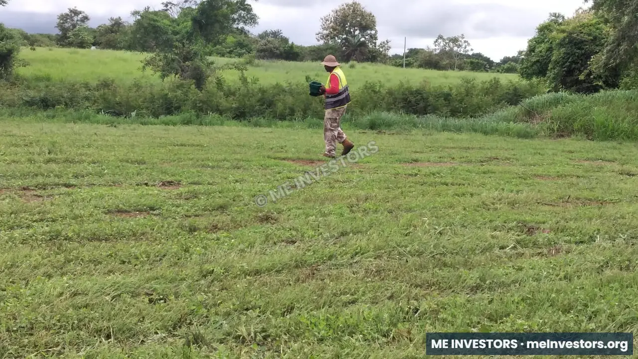 Lote Pedasí | Desde $18 x mt2, imagen 5