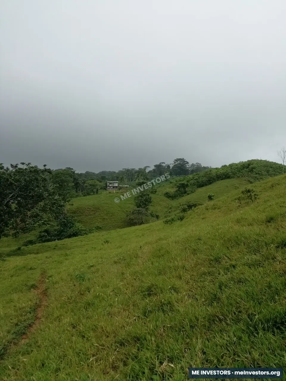 Finca Unión Santeña, Penonomé | 67 hectáreas | B/. 2,000 por hectárea, imagen 6