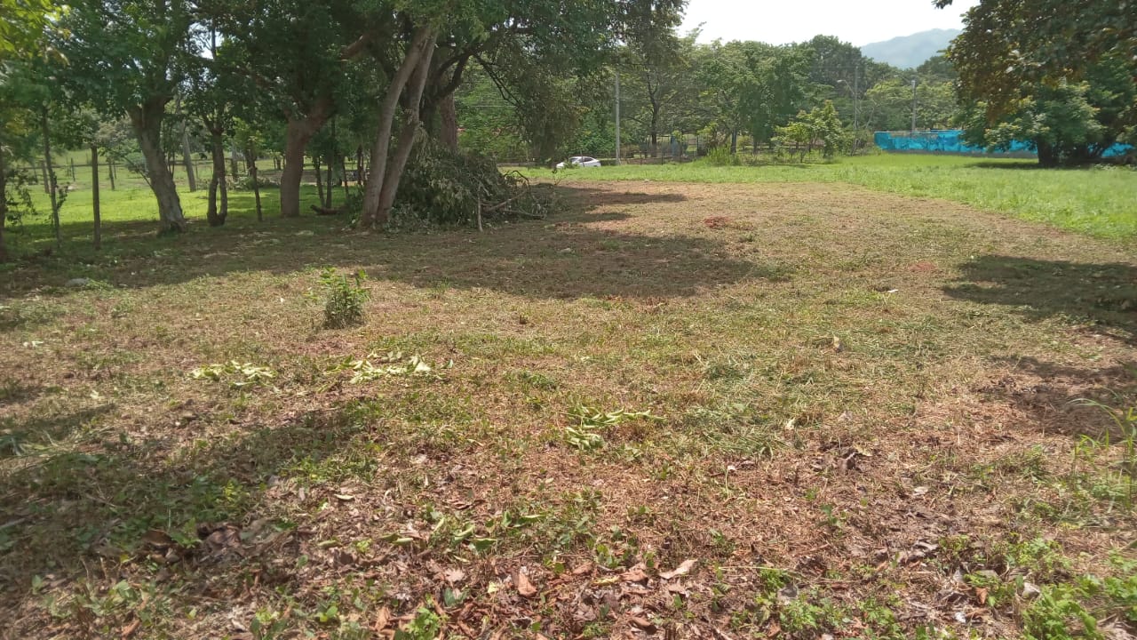 Lote | Cabuya, Chame | 700.50 m², imagen 3