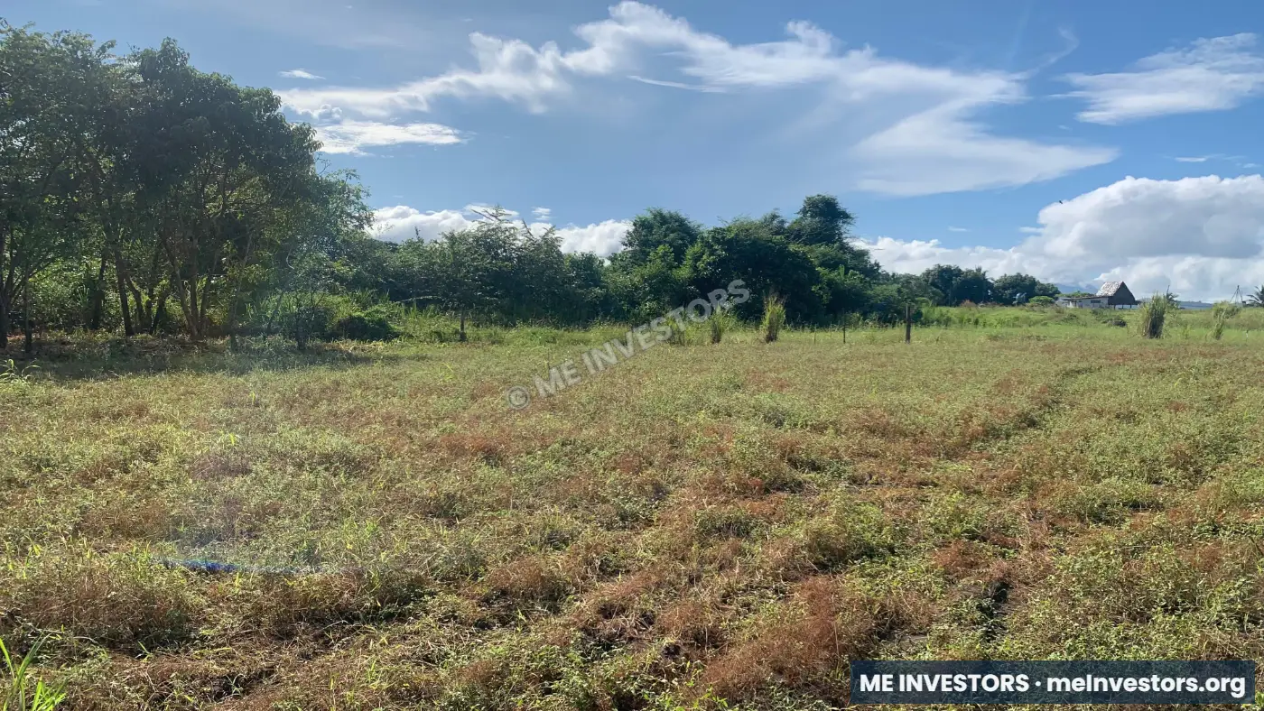 Lotes de 500 m² | Playa Cascajilloso, Veraguas | $17,500.00, imagen 6