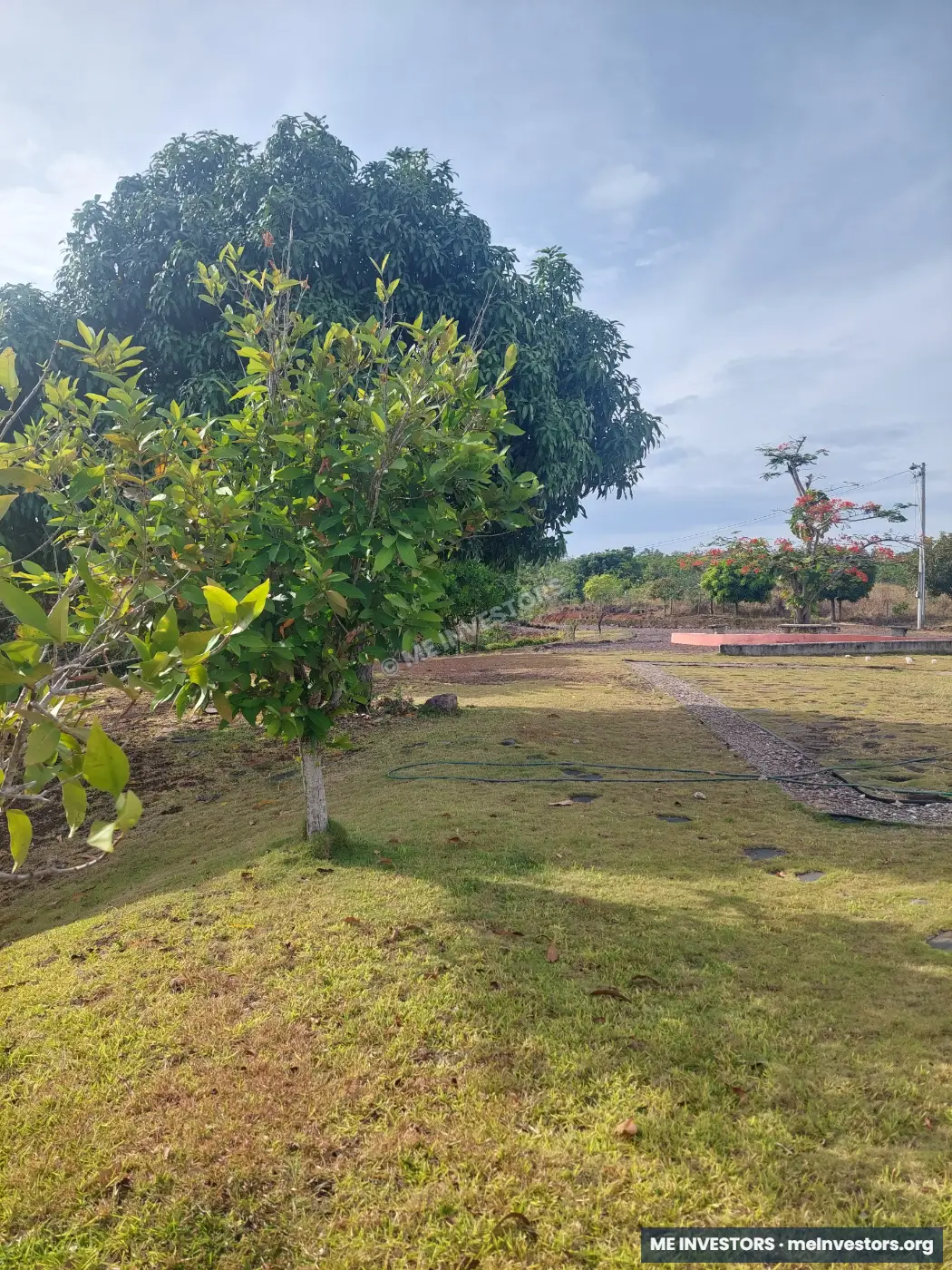 Finca productiva | Los Pollos, Río Hato | Dos opciones de compra, imagen 5
