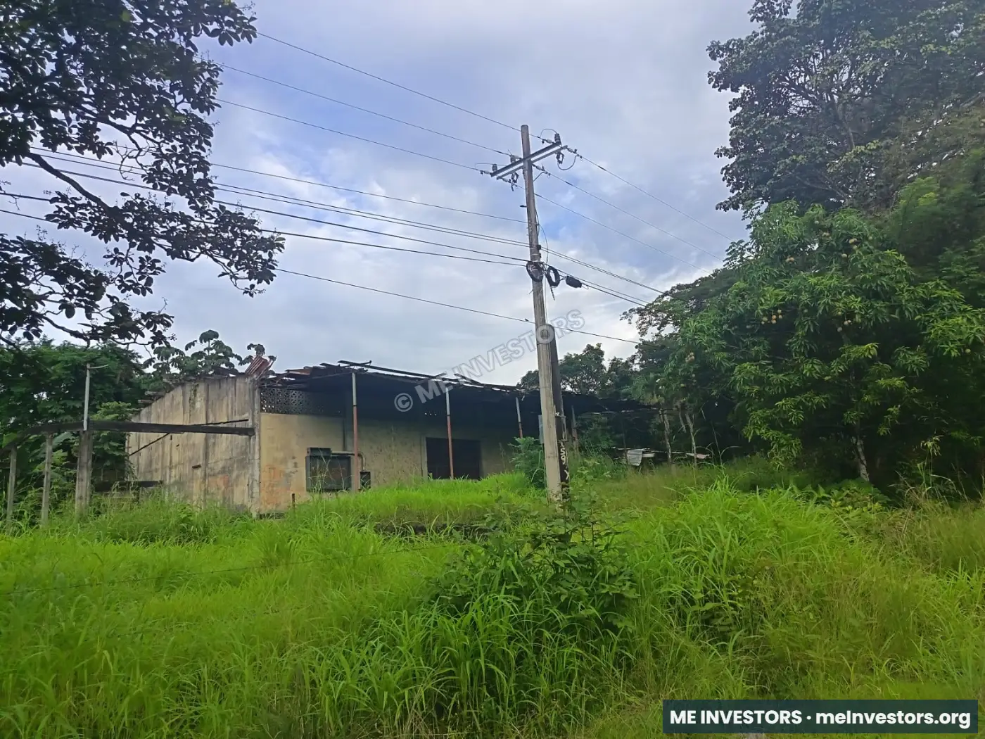 Terreno | Vía Ocú, Herrera | 2 hectáreas (20,000 m²) | $400,000, imagen 10