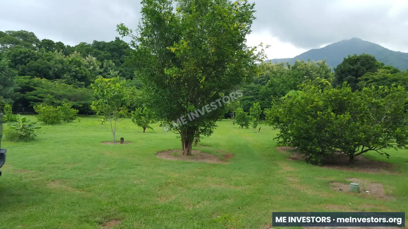 Finca en Sorá | 7 hectáreas | B/. 12 por m², imagen 7