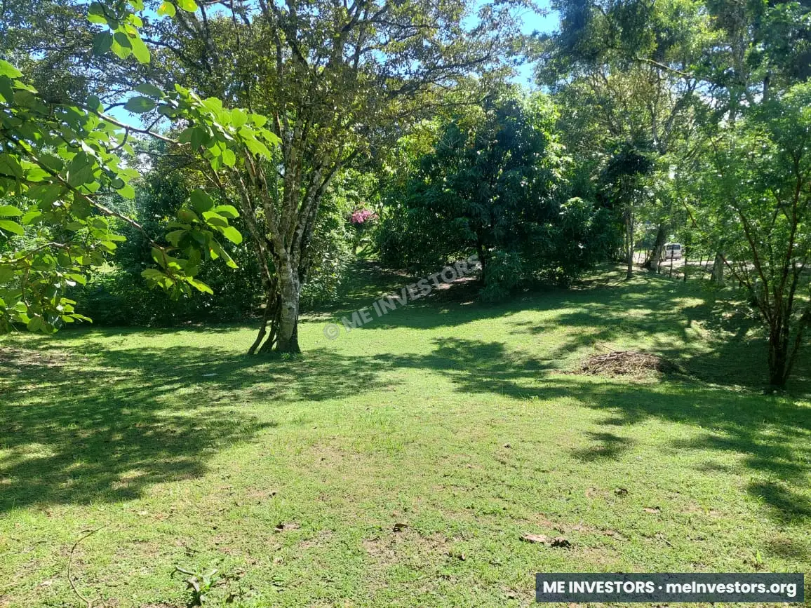 Lote Pajonal, Penonomé | 1,524.20 m² | $28,000.00, imagen 3