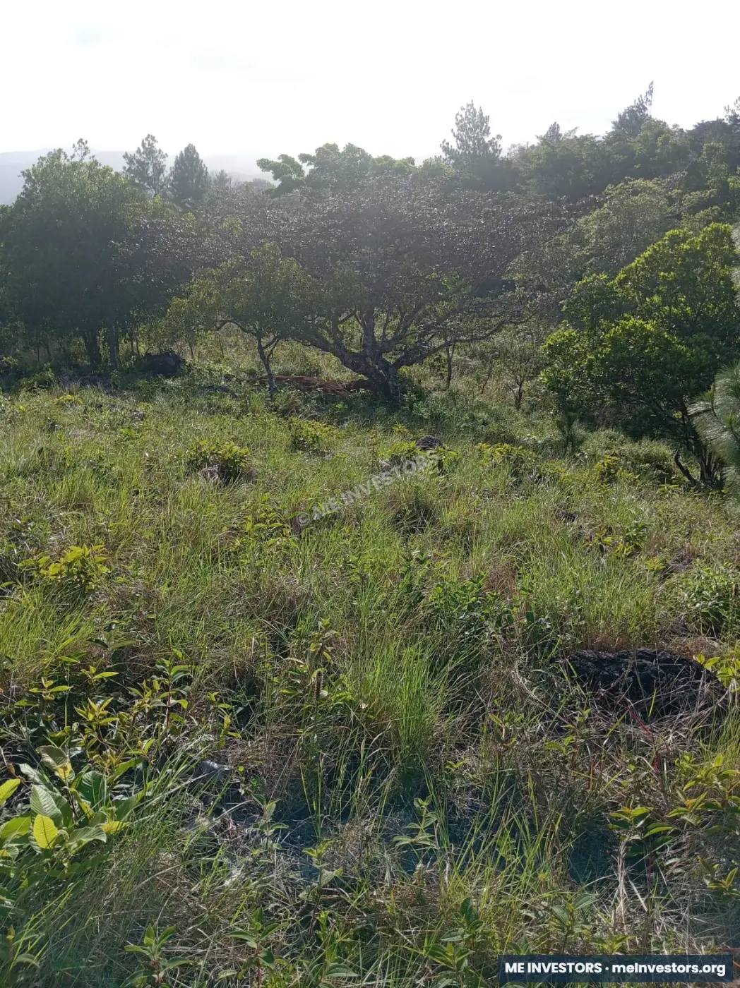 Terreno en Chicá, Chame | 3,116 m² | B/. 193,192, imagen 4