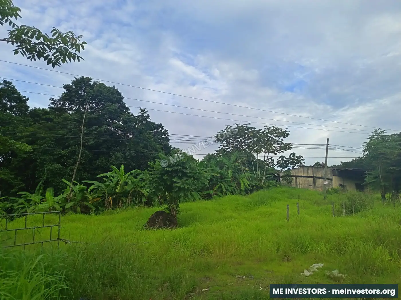 Terreno | Vía Ocú, Herrera | 2 hectáreas (20,000 m²) | $400,000, imagen 9