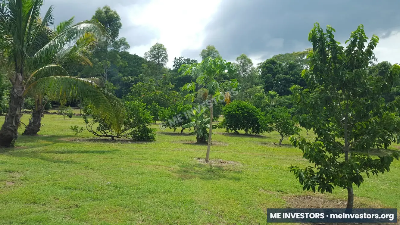 Finca en Sorá | 7 hectáreas | B/. 12 por m², imagen 4