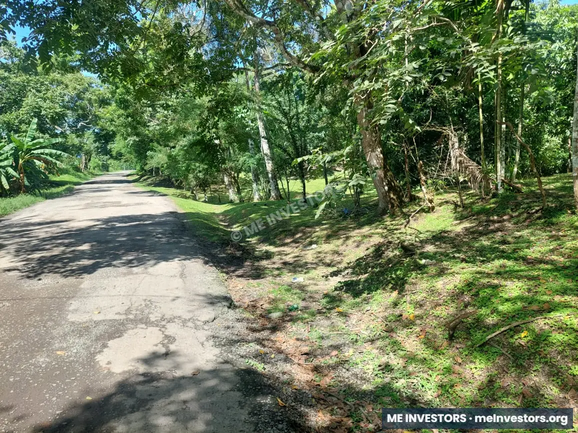 Lote Pajonal, Penonomé | 1,524.20 m² | $28,000.00, imagen 5