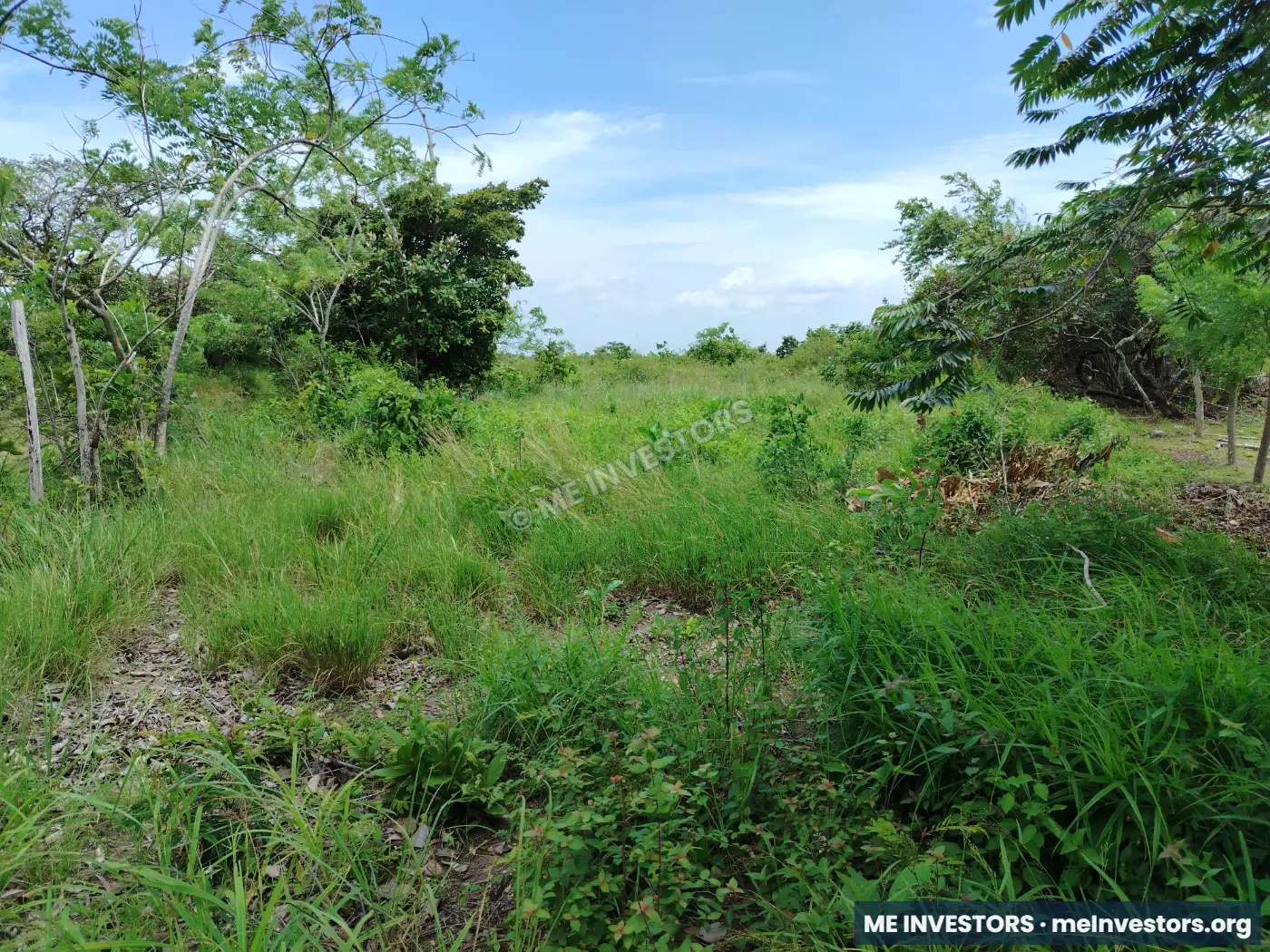 Terreno | Llano Grande, Antón | 22 hectáreas | $20,000 por hectárea, imagen 6