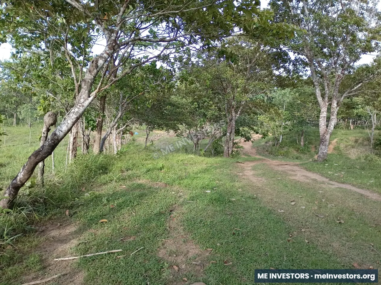 Finca | Chepo | 197,315.46 m², imagen 4