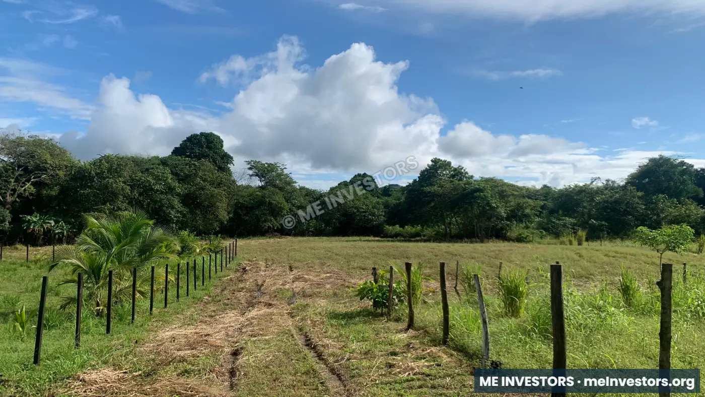 Lotes de 500 m² | Playa Cascajilloso, Veraguas | $17,500.00, imagen 3