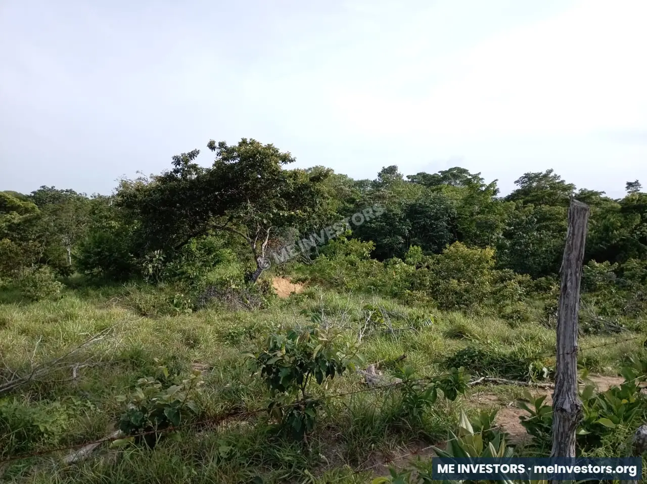 Finca | Chepo | 197,315.46 m², imagen 7
