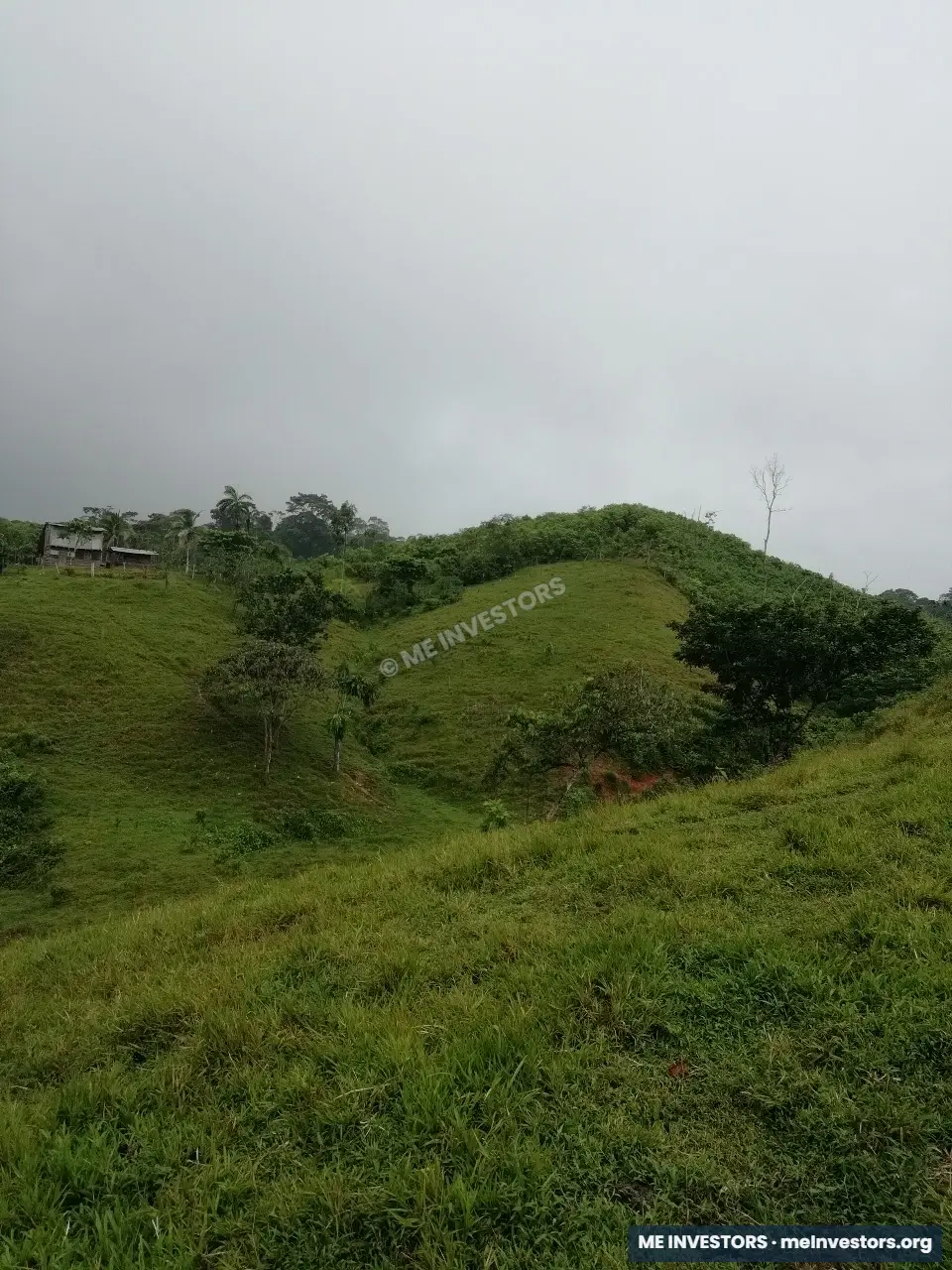 Finca Unión Santeña, Penonomé | 67 hectáreas | B/. 2,000 por hectárea, imagen 4