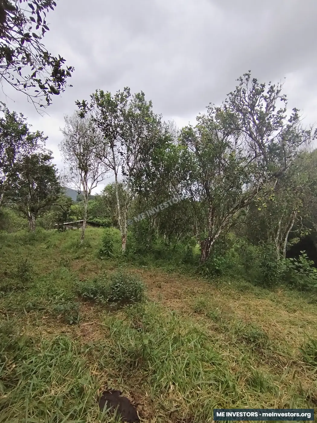 Lote | Trinidad Arriba, Capira | 25,548.32 m², imagen 17