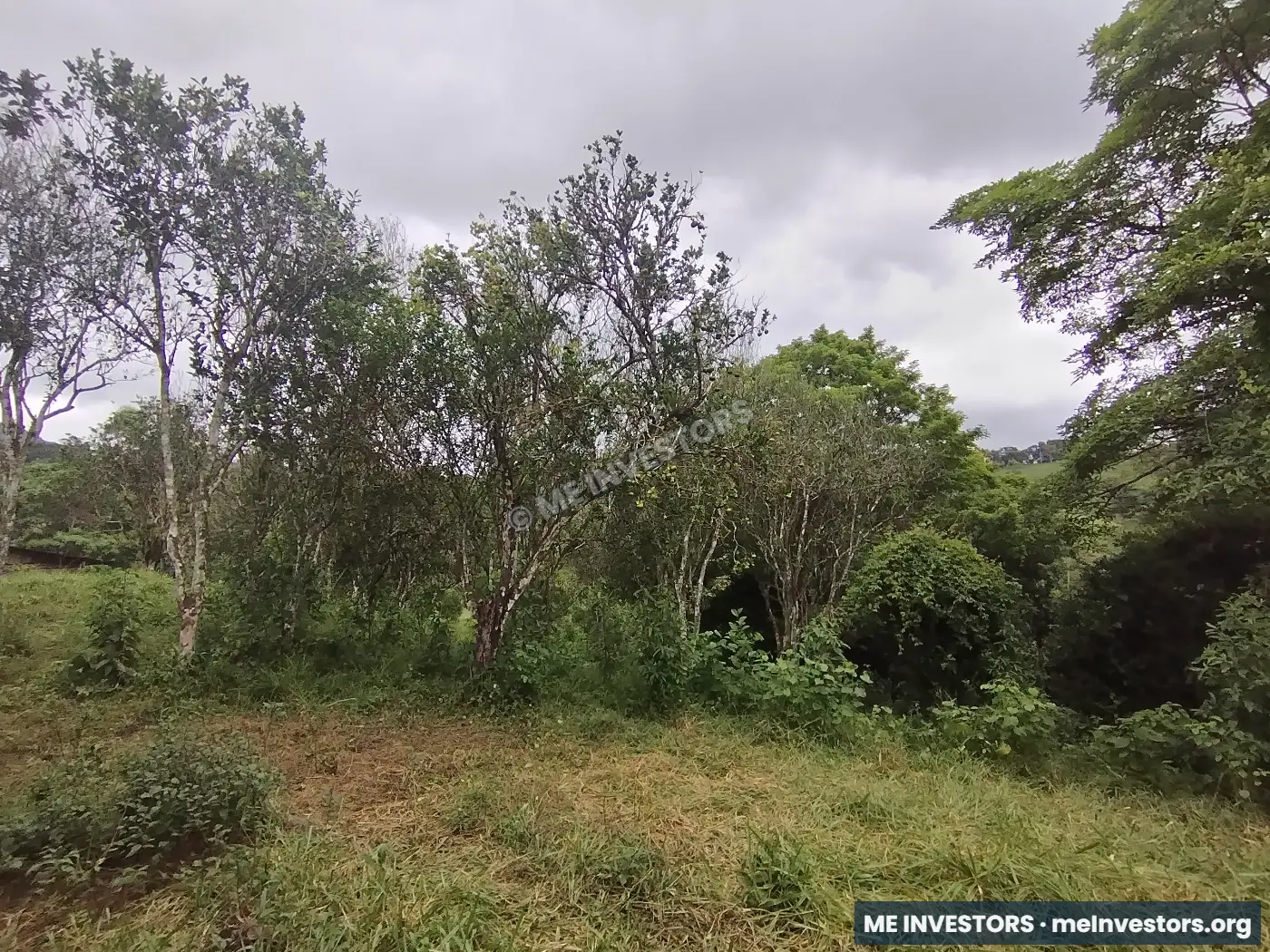 Lote | Trinidad Arriba, Capira | 25,548.32 m², imagen 16