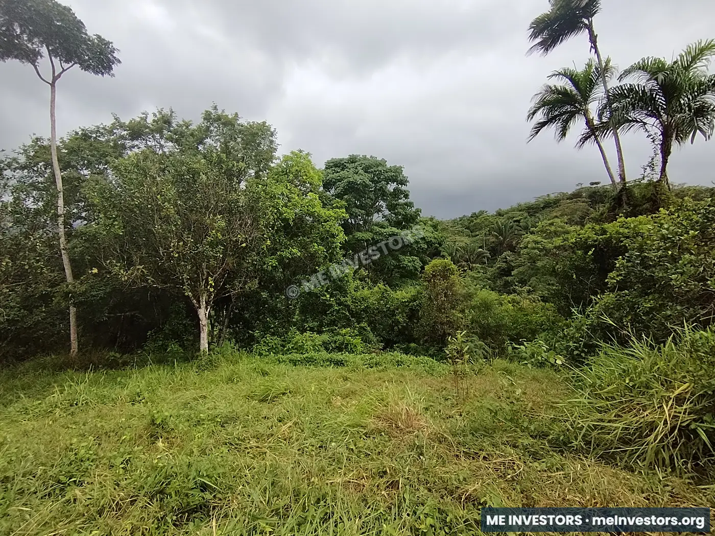 Lote | Trinidad Arriba, Capira | 25,548.32 m², imagen 5