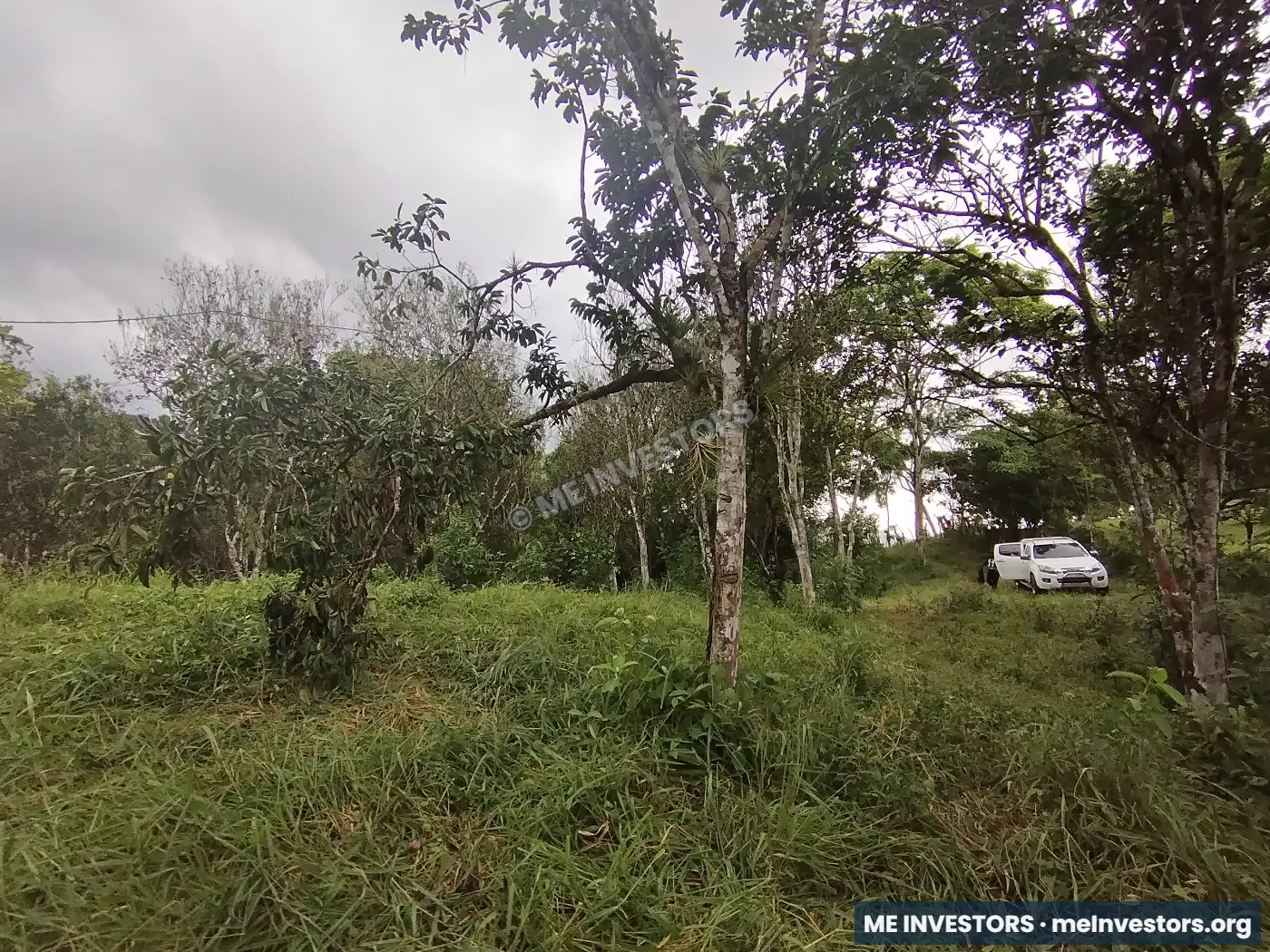 Lote | Trinidad Arriba, Capira | 25,548.32 m², imagen 15