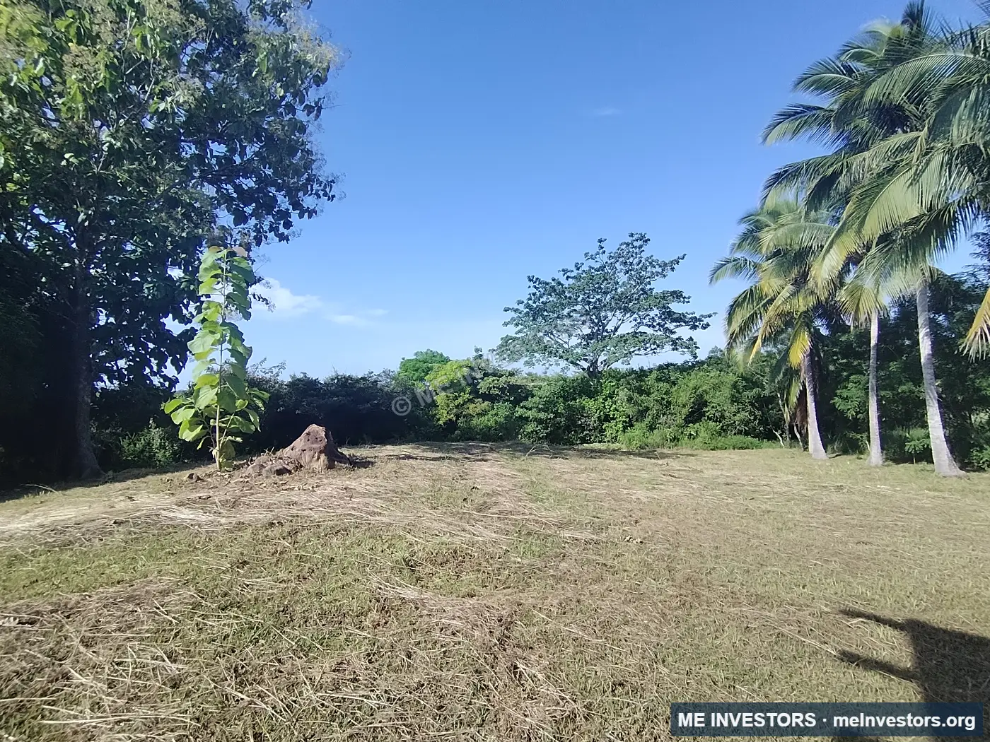 Finca | Los Laureles, Juan Díaz, Antón | 265,517.89 m², imagen 3
