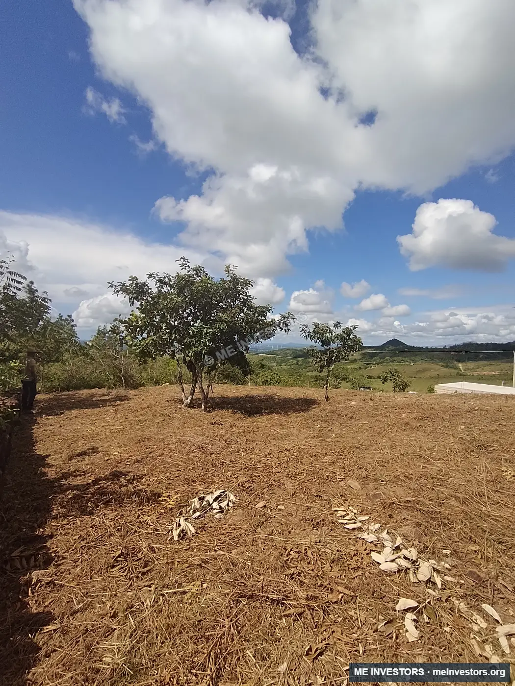 Lote | Santa Cruz, Penonomé | 1,000 m², imagen 4
