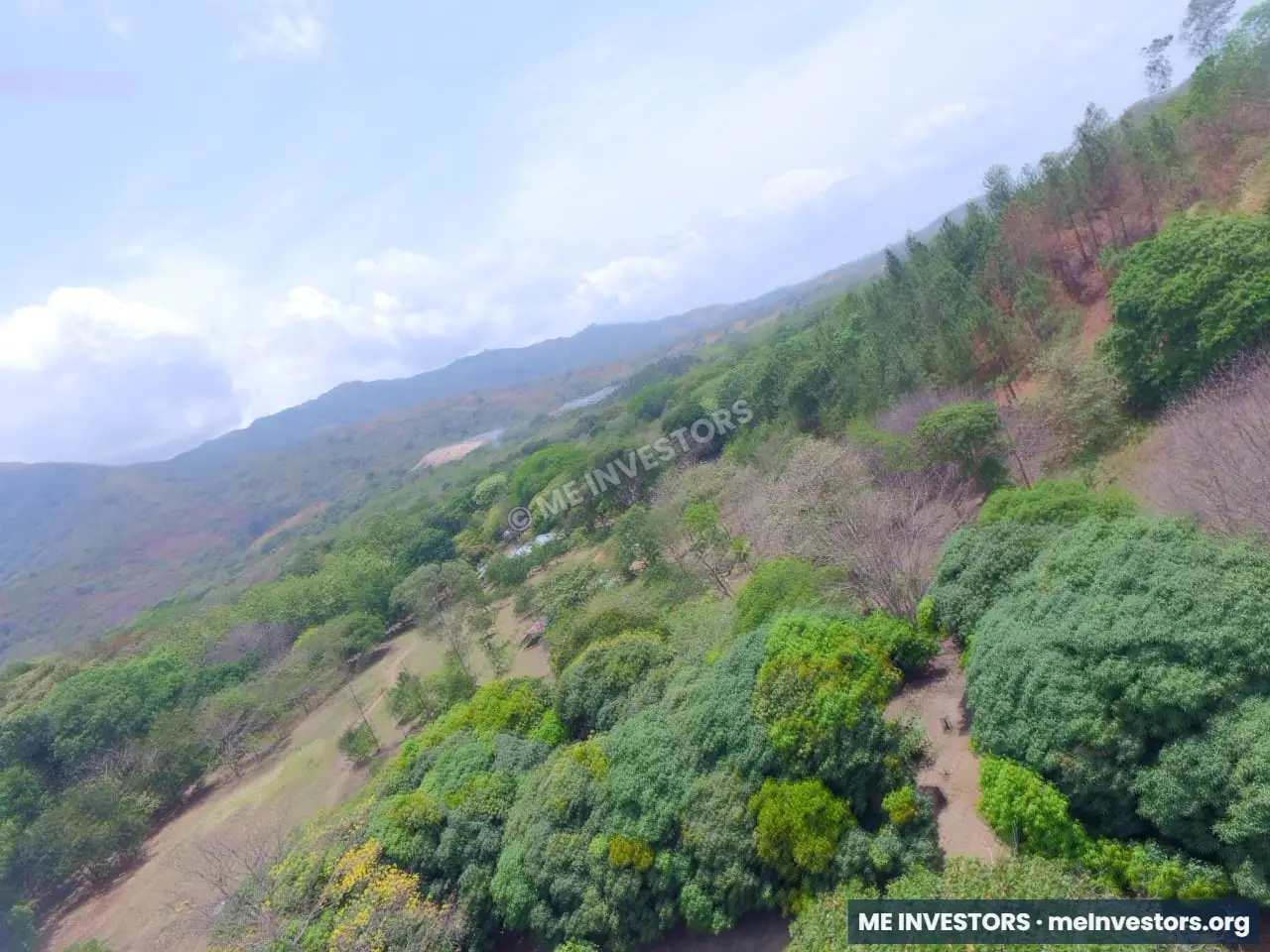 Finca en Sorá | 7 hectáreas | B/. 12 por m², imagen 9