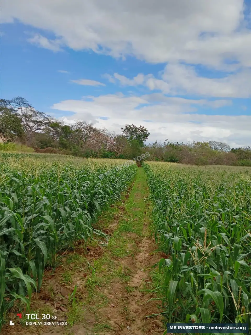 Finca | Los Laureles, Juan Díaz, Antón | 265,517.89 m², imagen 22