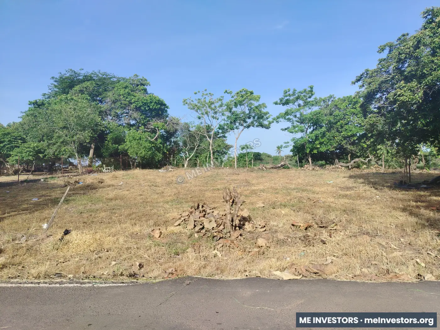 Lote, Barrios Unidos, Aguadulce, Provincia de Coclé, imagen 4