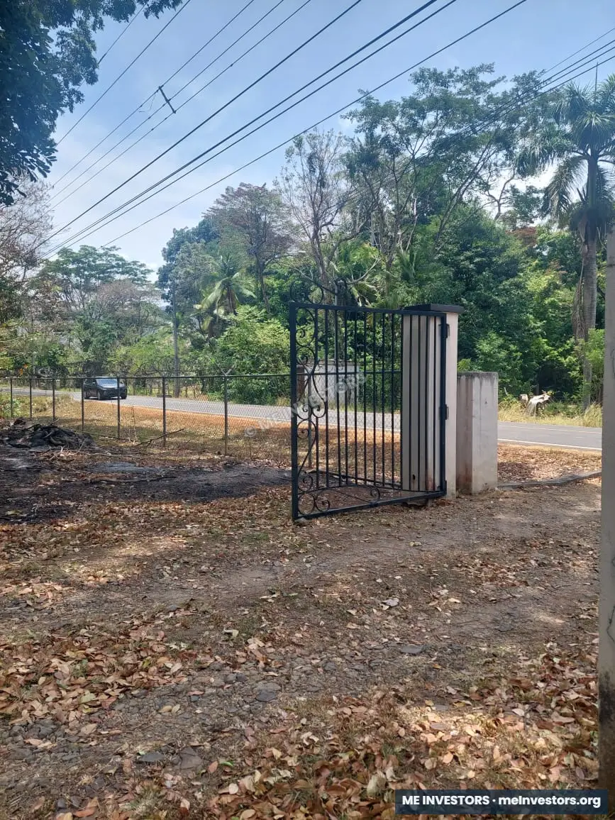 Finca en Sorá | 7 hectáreas | B/. 12 por m², imagen 10
