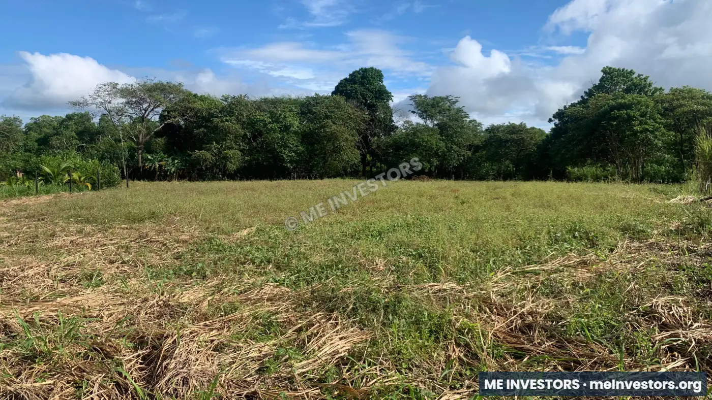 Lotes de 500 m² | Playa Cascajilloso, Veraguas | $17,500.00, imagen 7