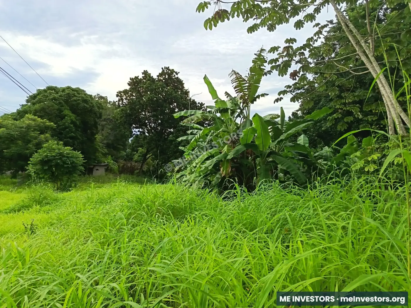 Terreno | Vía Ocú, Herrera | 2 hectáreas (20,000 m²) | $400,000, imagen 4