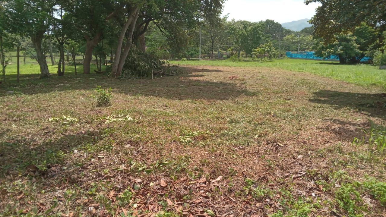 Lote | Cabuya, Chame | 700.50 m², imagen 4