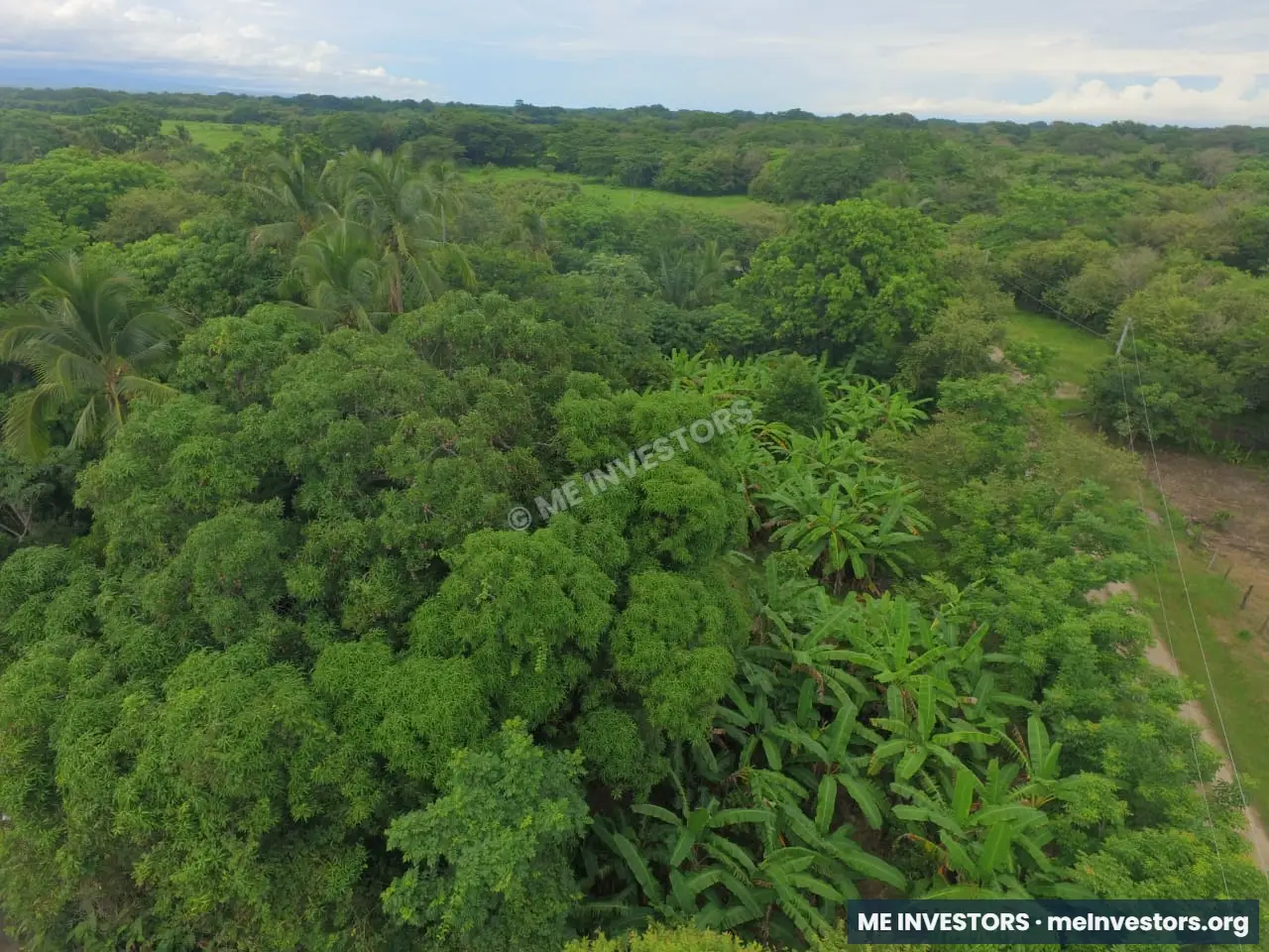 Lote El Jobo, Antón | 8,469.19 m² | $45,000.00, imagen 5