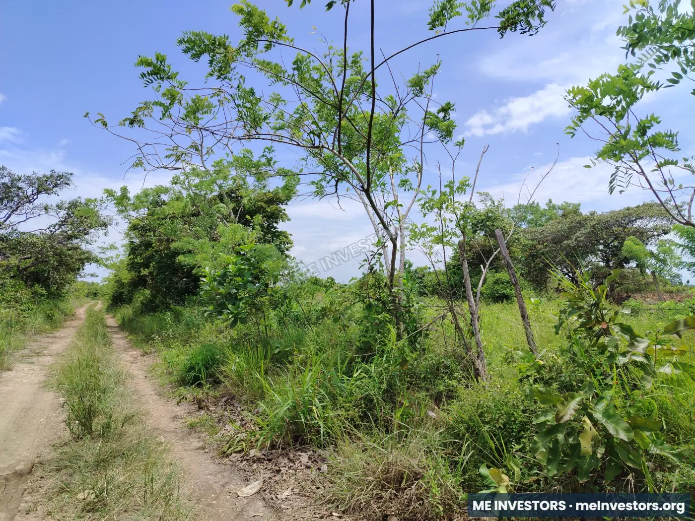 Terreno | Llano Grande, Antón | 22 hectáreas | $20,000 por hectárea, imagen 3