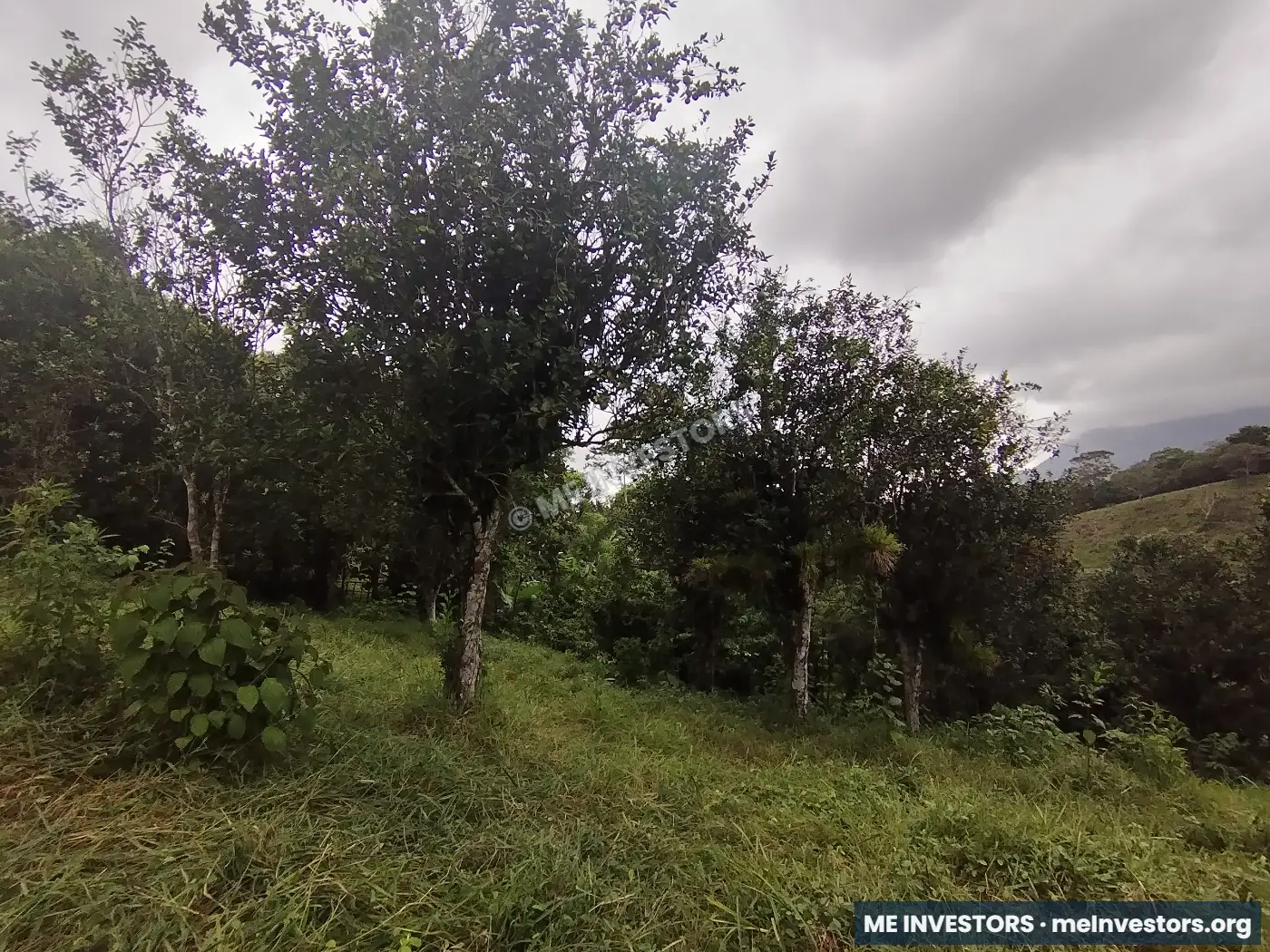 Lote | Trinidad Arriba, Capira | 25,548.32 m², imagen 12