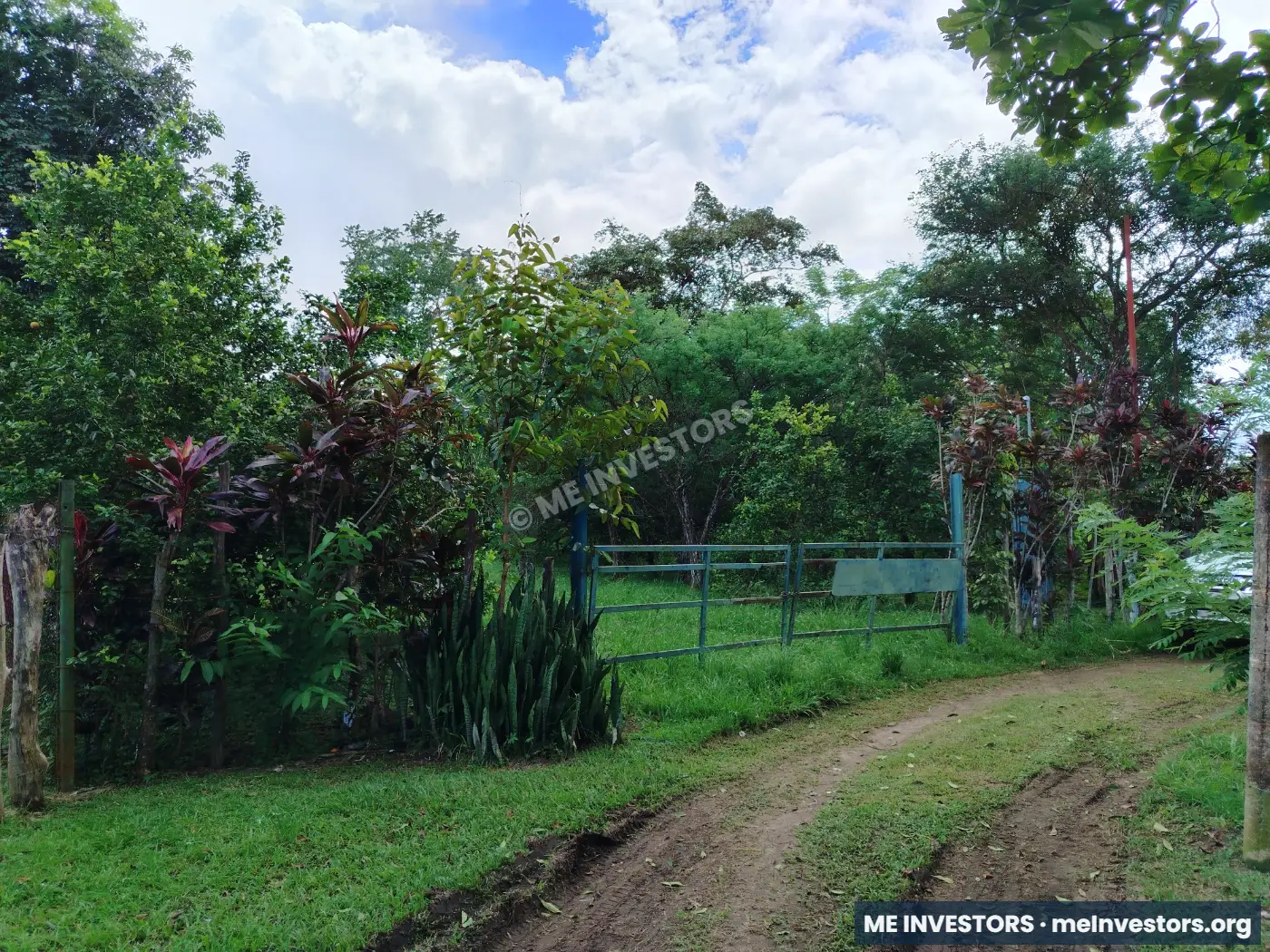 Finca Los Reyes, Antón | 1.5 hectáreas | $90,000.00, imagen 7