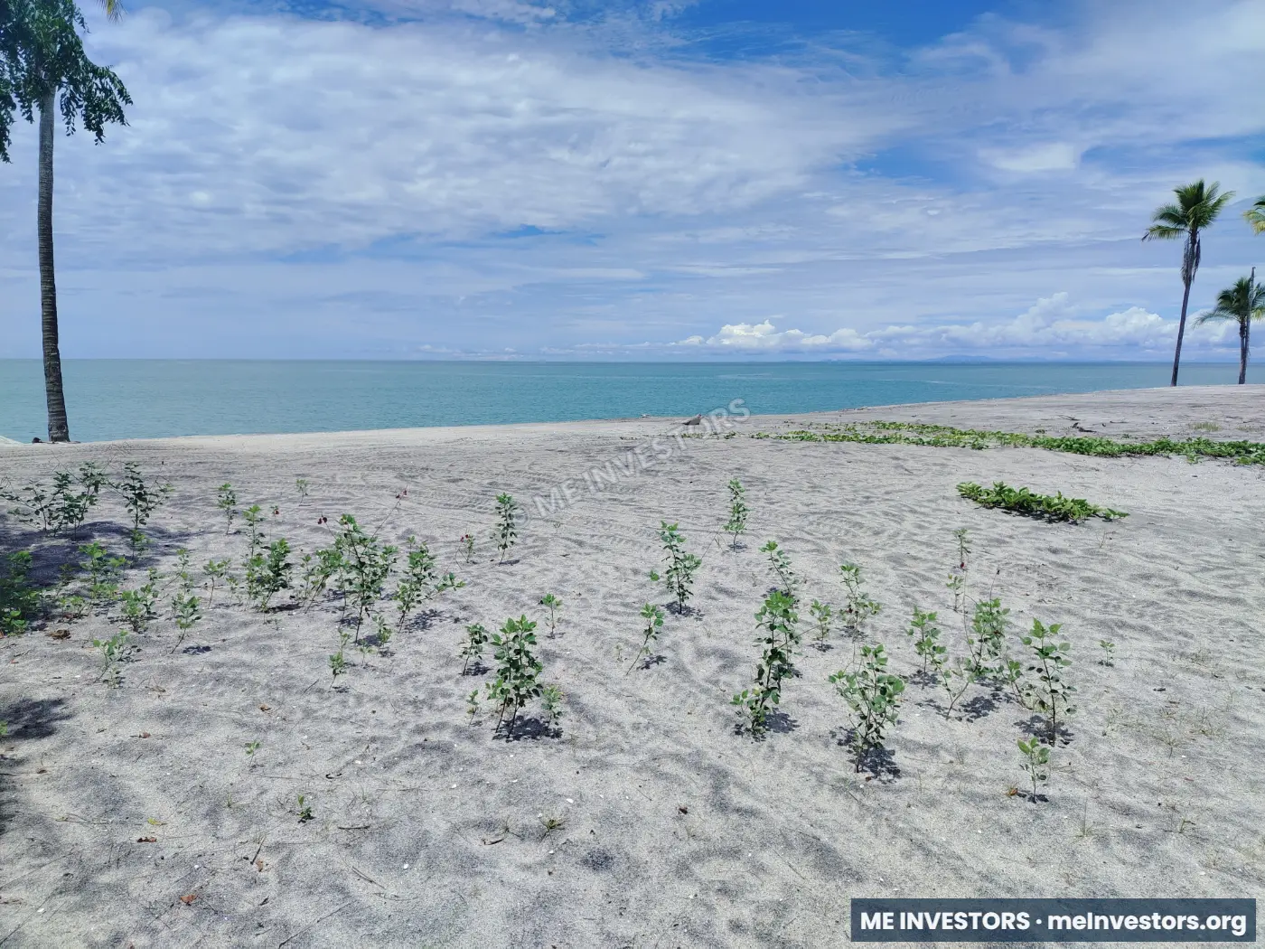 Lote en Buenaventura | Frente al mar | 4,973 m² | US$4,475,700, imagen 4