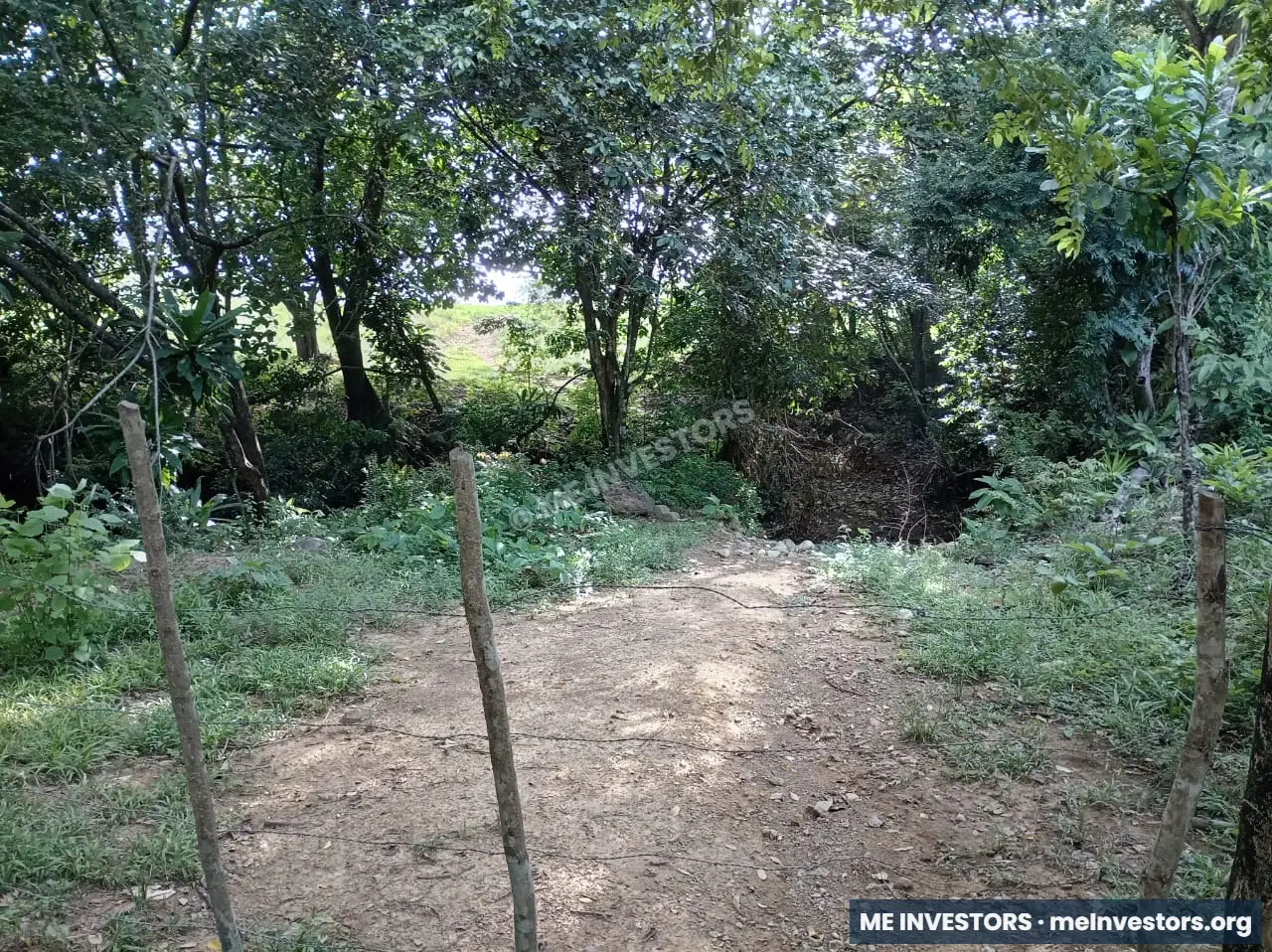 Finca | Chepo | 197,315.46 m², imagen 17