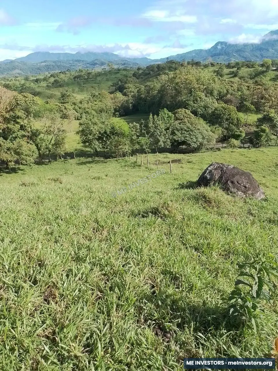Cuesta de Piedra, vía Volcán, Chiriquí | 10.7 hectáreas aprox. | B/. 450,000, imagen 8