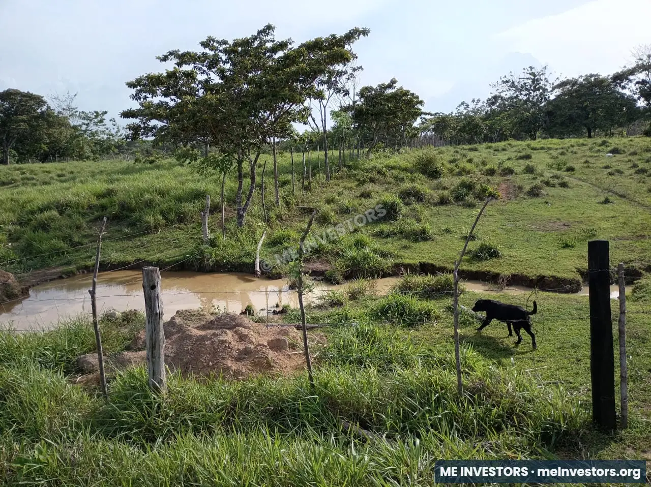 Finca | Chepo | 197,315.46 m², imagen 15