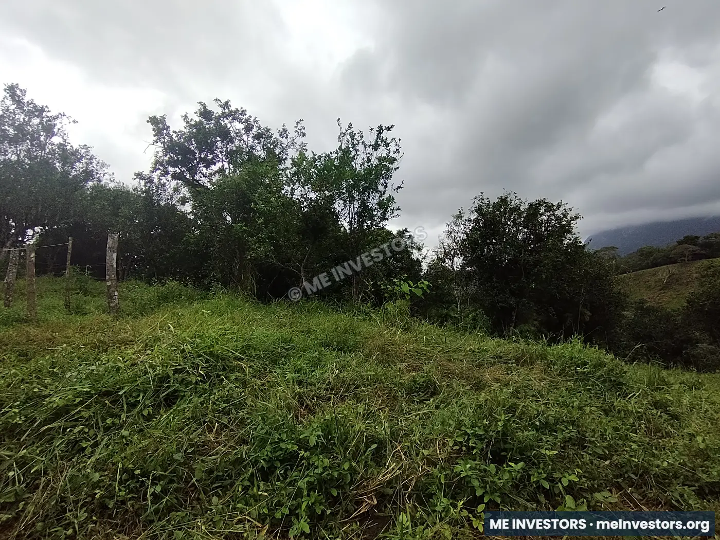 Lote | Trinidad Arriba, Capira | 25,548.32 m², imagen 9