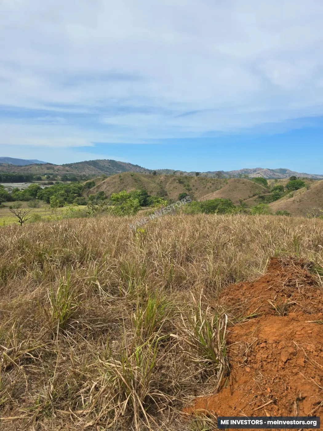Finca Mariato, Quebro, Veraguas, imagen 3