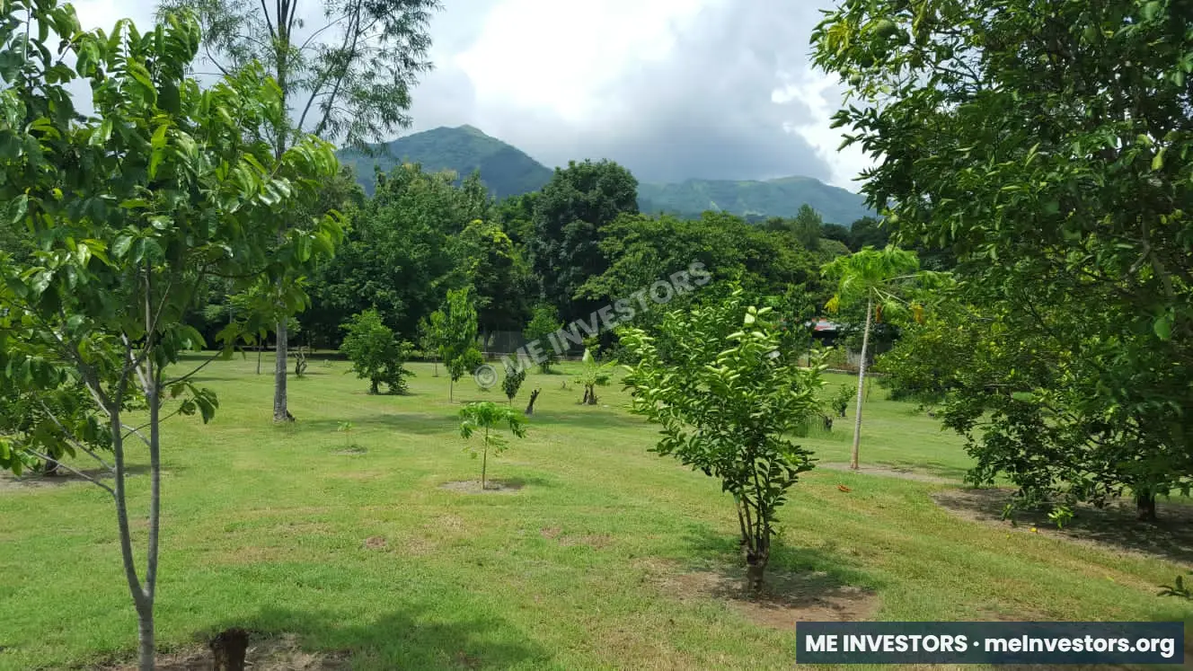 Finca en Sorá | 7 hectáreas | B/. 12 por m², imagen 8