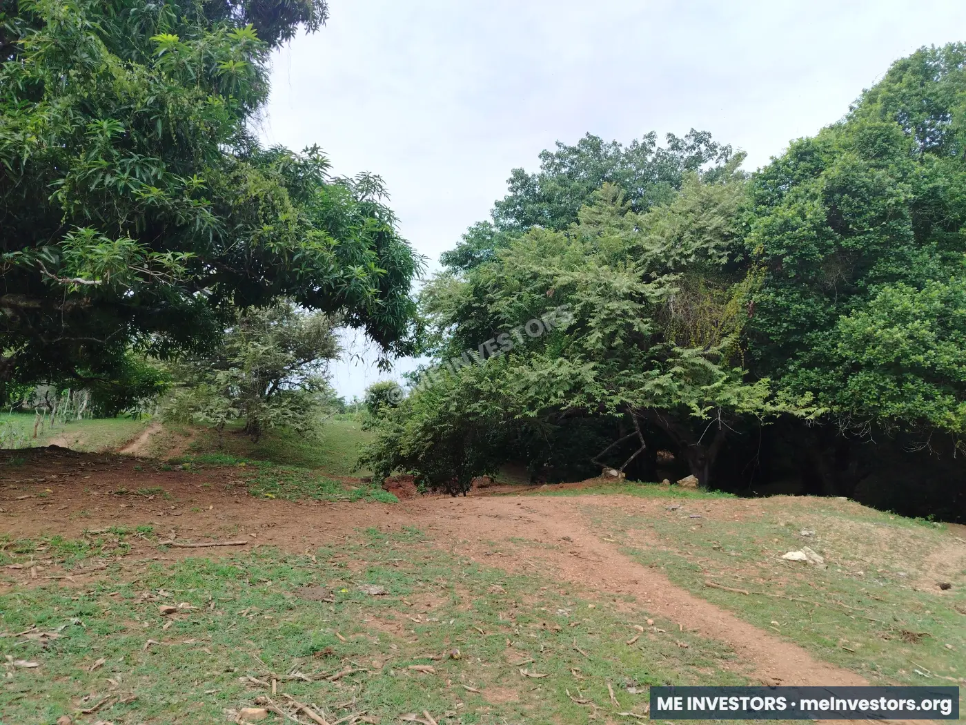 Finca, Las Peñas, La Villa de los Santos, imagen 4